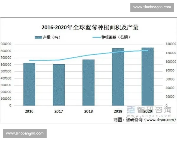 围绕亚运会排名变化深入全面解读各国实力格局与未来发展趋势分析