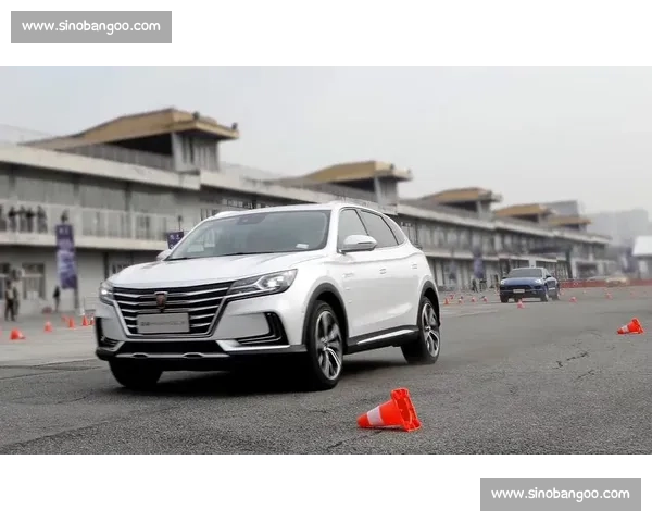 赛车冠军巅峰对决背后的训练与心理成长全揭秘