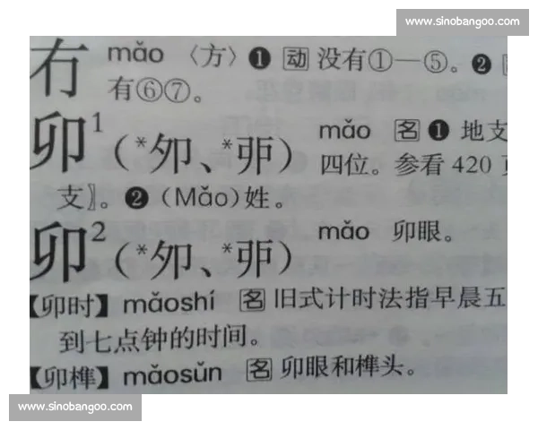 《汉字风云榜挑战赛:拼音与汉字的智慧较量,谁将成为语言的冠军》 《汉字风云榜挑战赛:拼音与汉字的智慧较量,谁将成为语言的冠军》